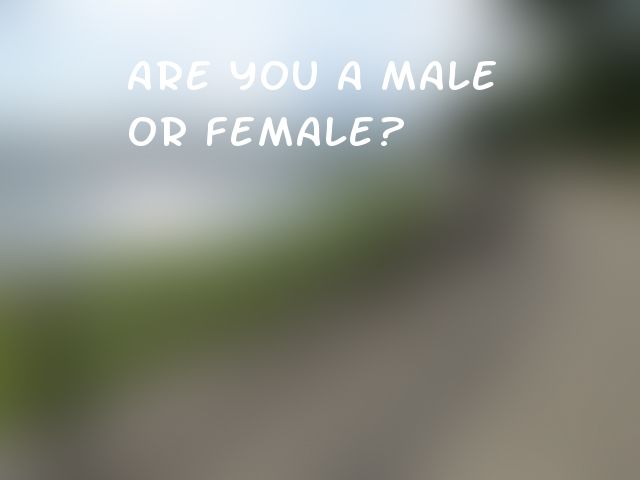 Are you a male or female?