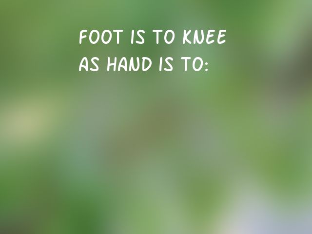 Foot is to knee as hand is to: