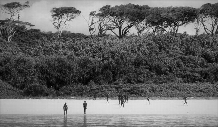 Sentinels Tribe