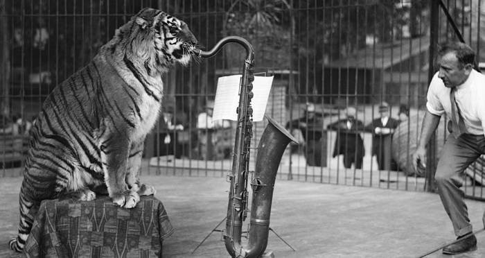 Bizarre Images from Vintage Sideshows That Weird You Out