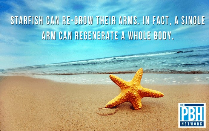 77 Amazing Facts