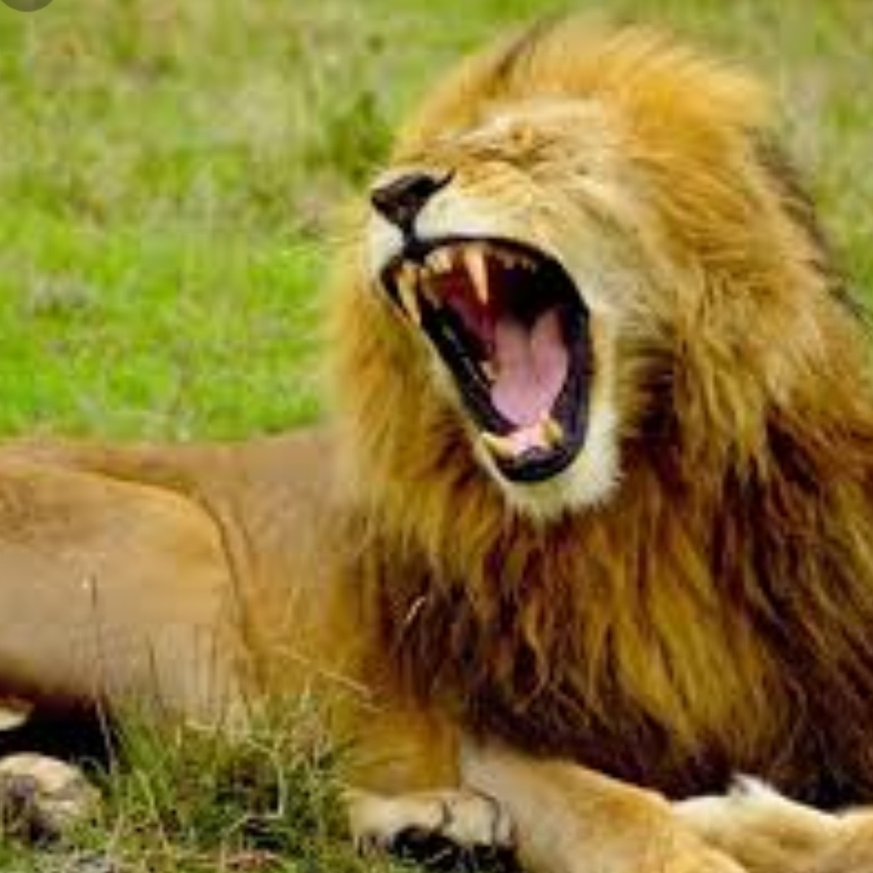 Boys choir Dagilelis 