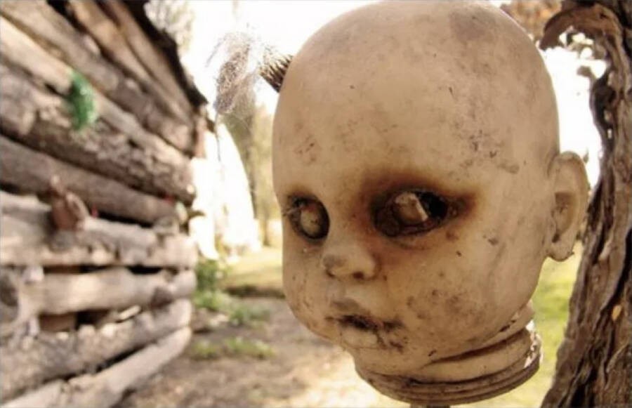 Photos Of Mexico’s ‘Island Of The Dolls’ That Will Haunt Your Dreams