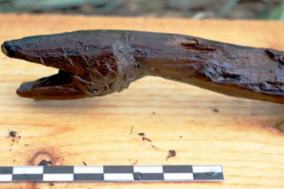 4,400-Year-Old Staff Shaped Like Snake And Used By Stone Age Shamans Unearthed In Finland