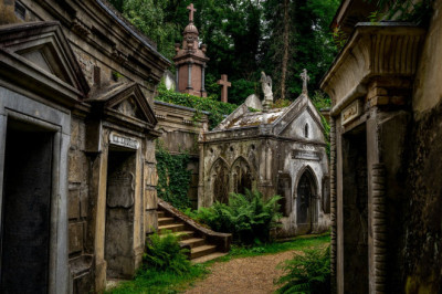 The Highgate Vampire