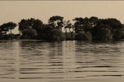 Stalin's Island of Nightmares: Unearthing Nazino's Grisly Past